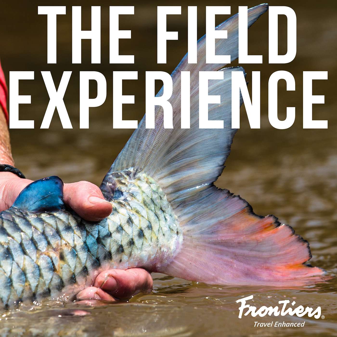 African Tigerfish on a Fly - Roddy Hall on Frontiers Travel's The Field Experience