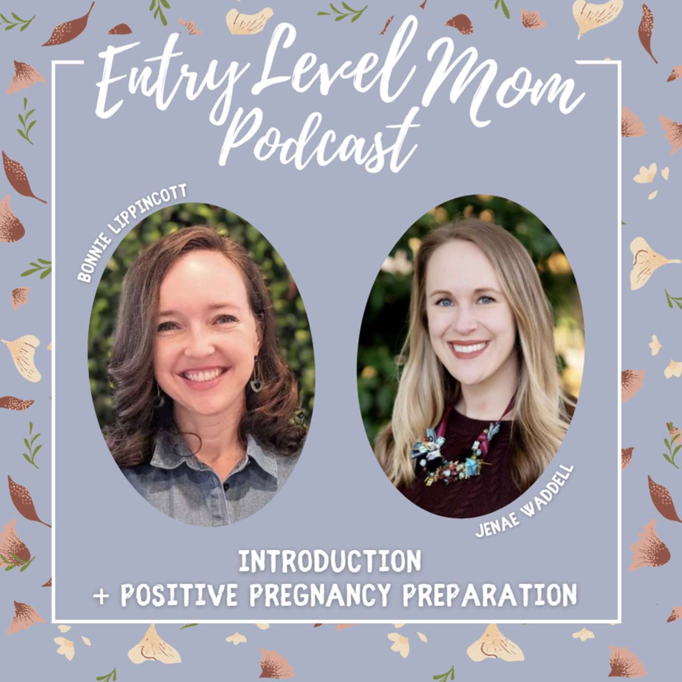 Entry Level Mom Podcast