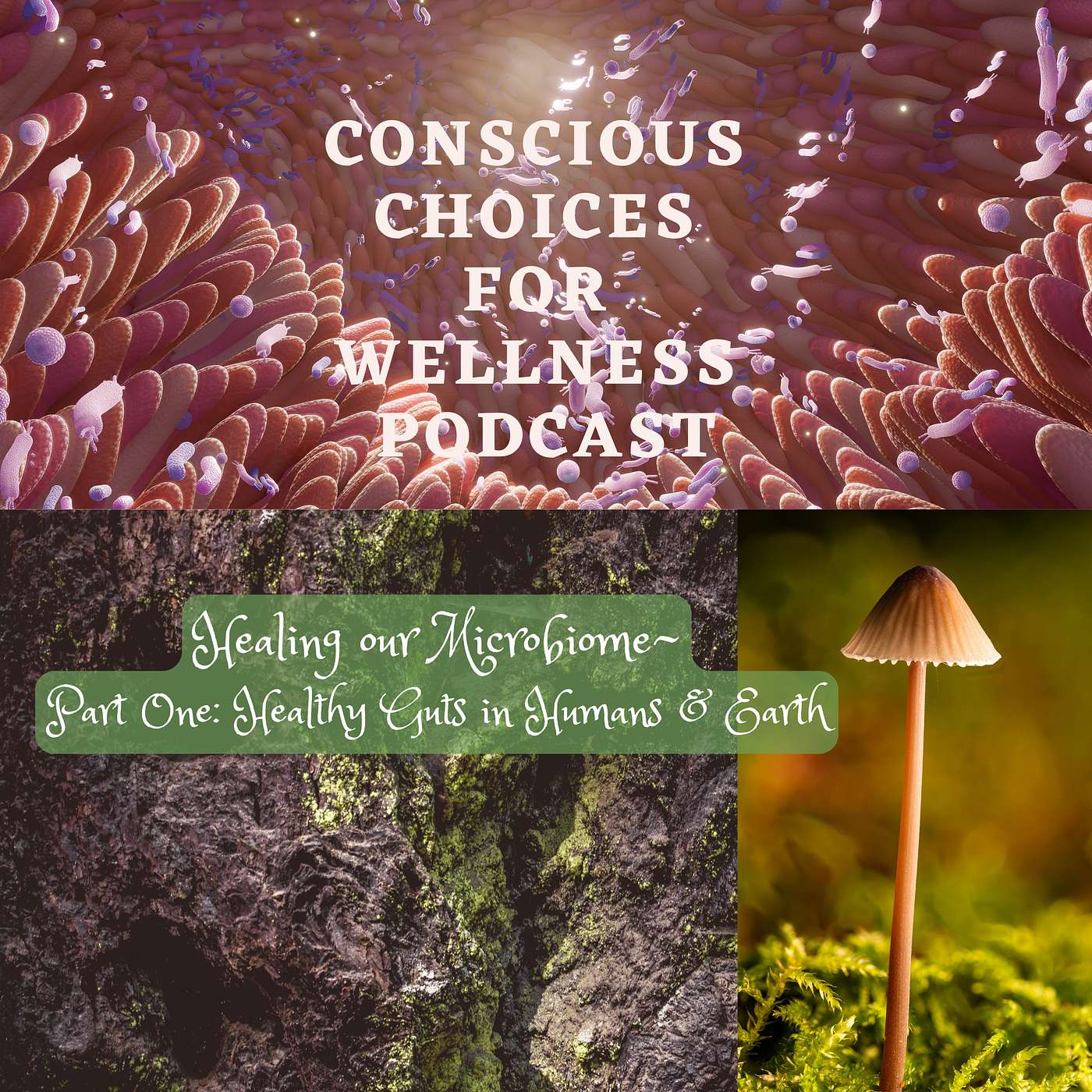 THE MICROBIOME HEALING CONNECTION Part One: Healthy Guts in Humans & Earth episode artwork