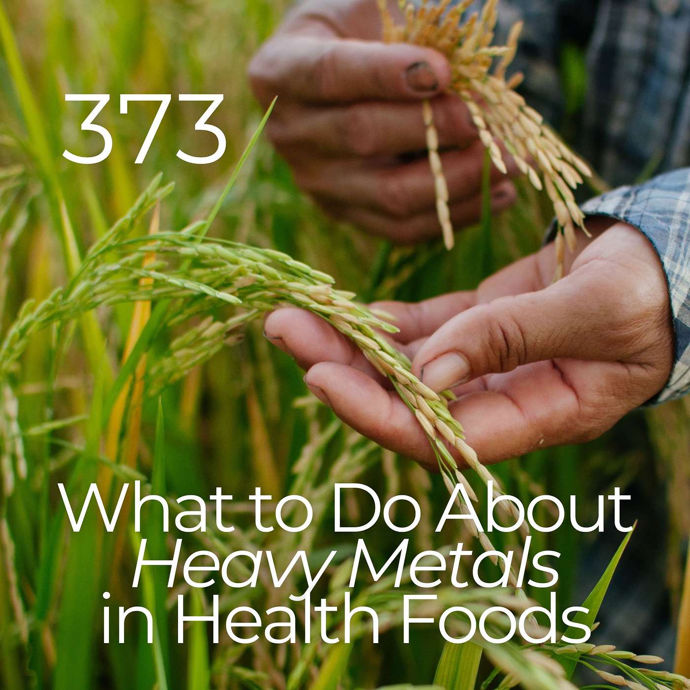 #373 - What to Do About Heavy Metals in Health Foods