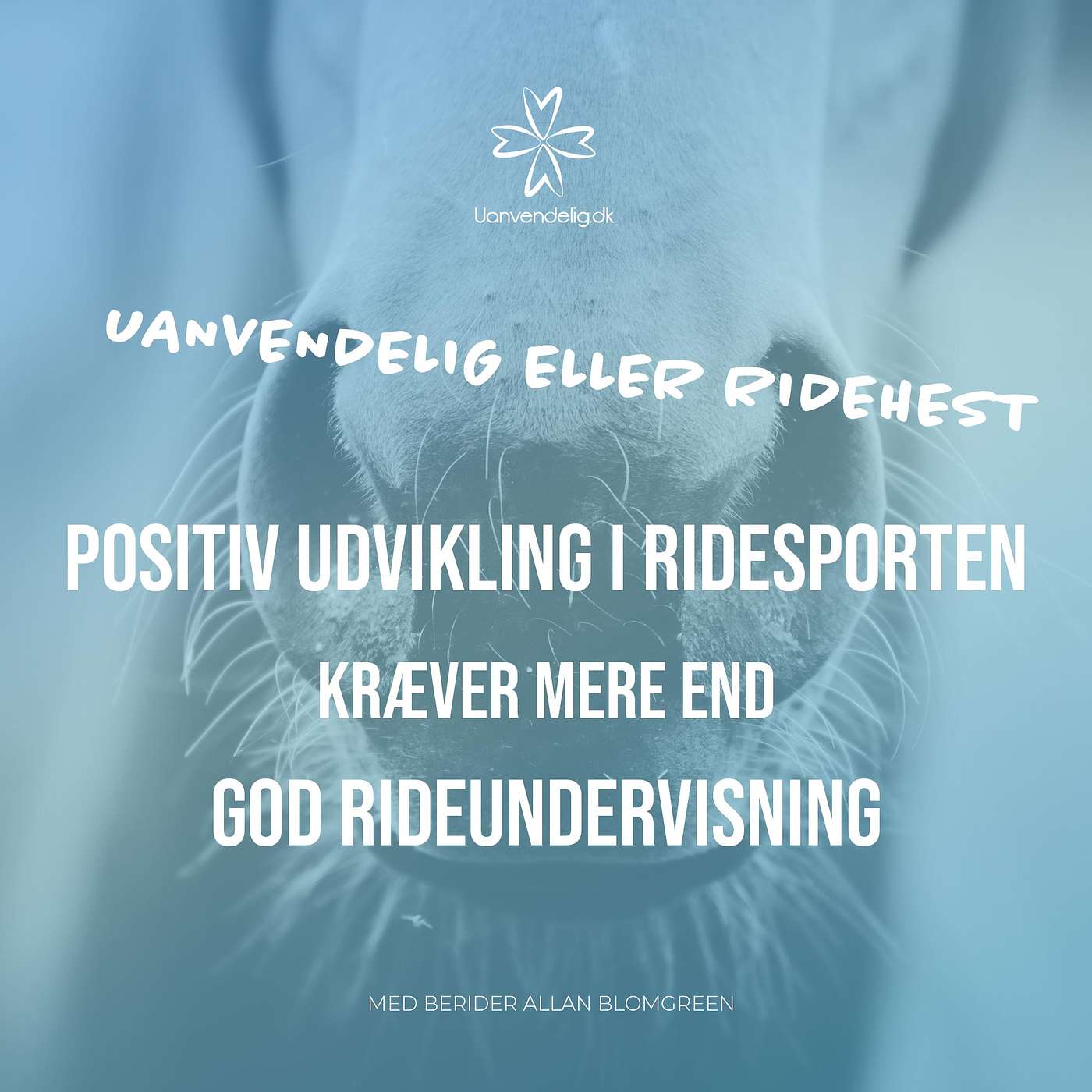 Positiv udvikling i ridesporten kræver mere end god rideundervisning - Med berider Allan Blomgreen episode artwork