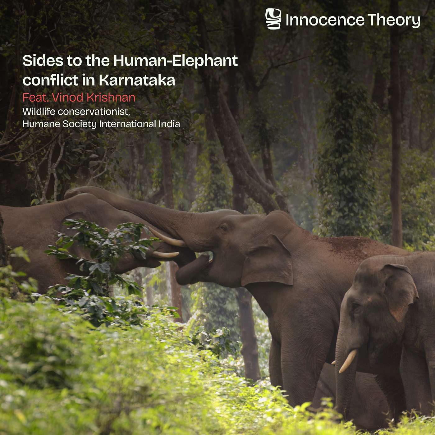 Sides to human-elephant conflict in Karnataka