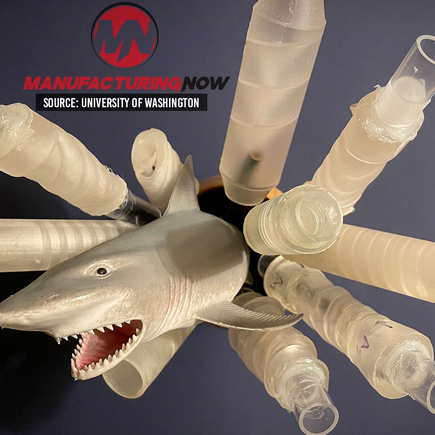 LISTEN: 3D-Printed Shark Pipes Beat Out Tesla Valves in One Direction Flow