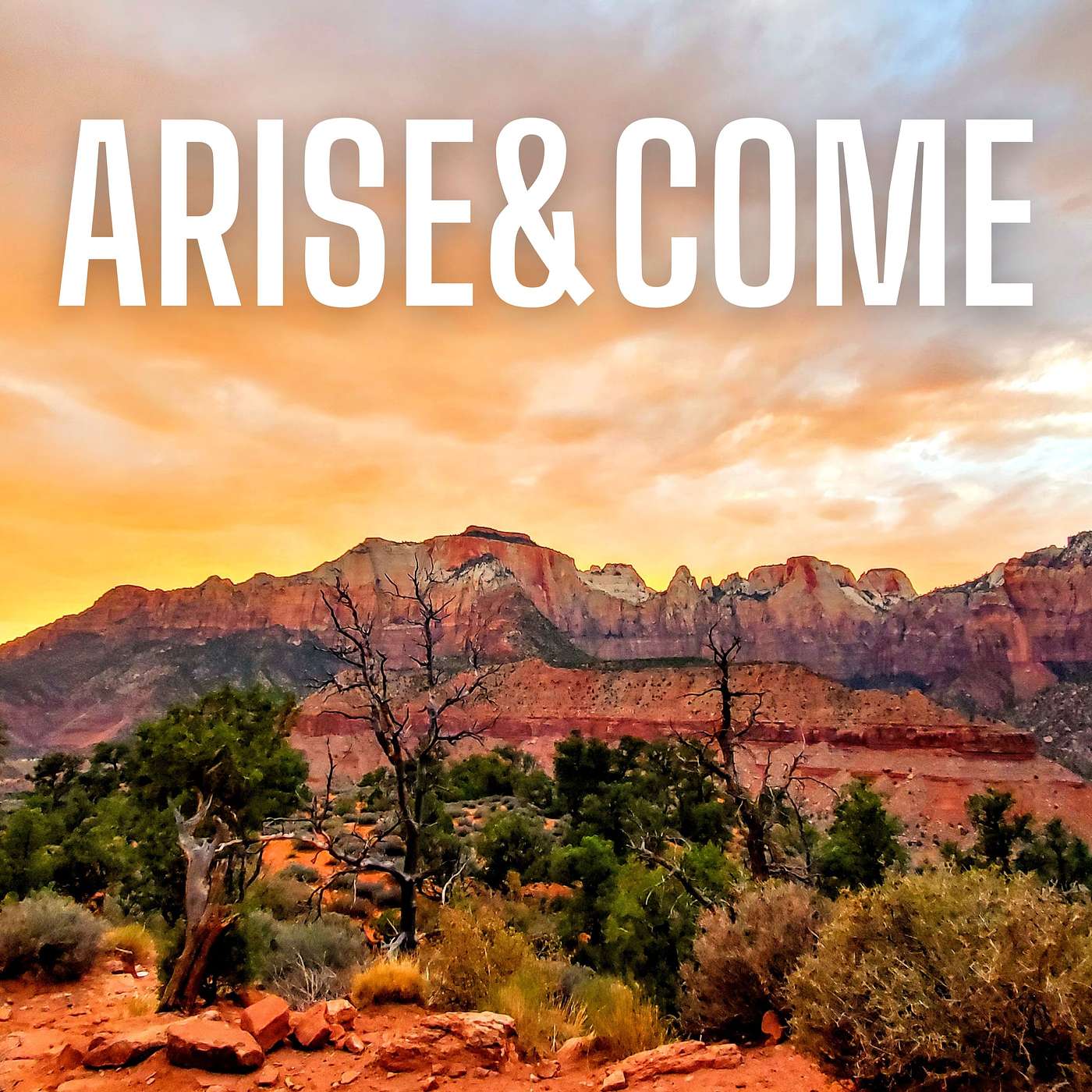 Arise and Come! episode artwork