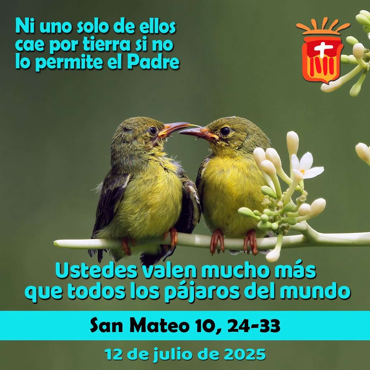 2025-07-12 San Mateo 10, 24-33: Sábado XIV Ordinario