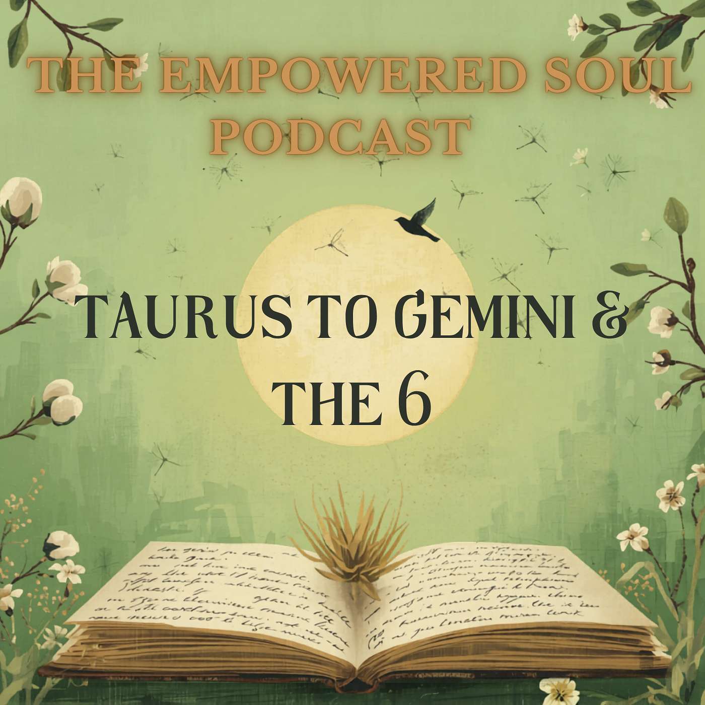 S1E49: Taurus to Gemini, Numerology 6, Nervous System Healing & The Wisdom of the Heart episode artwork