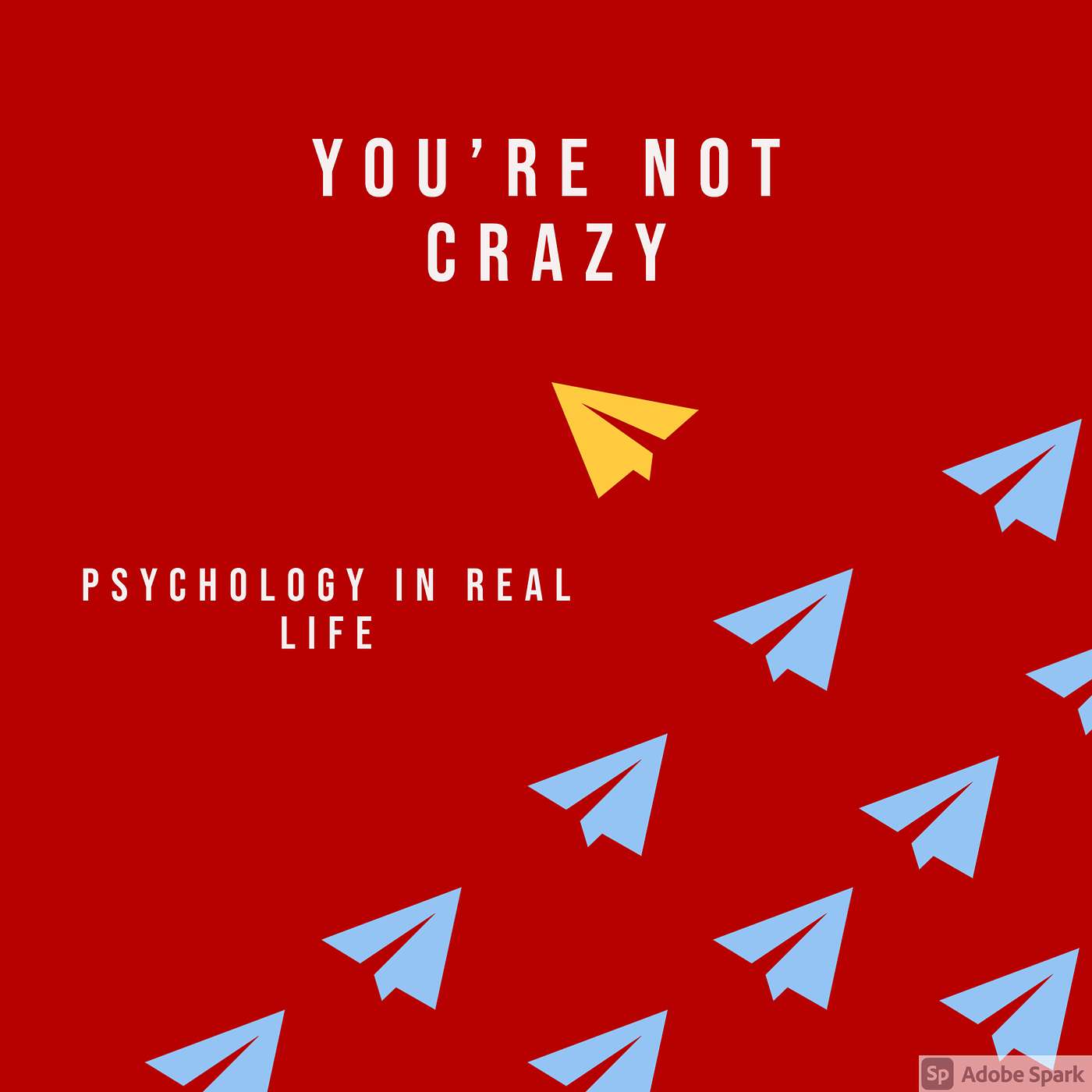 You\'re Not Crazy: Psychology in Real Life