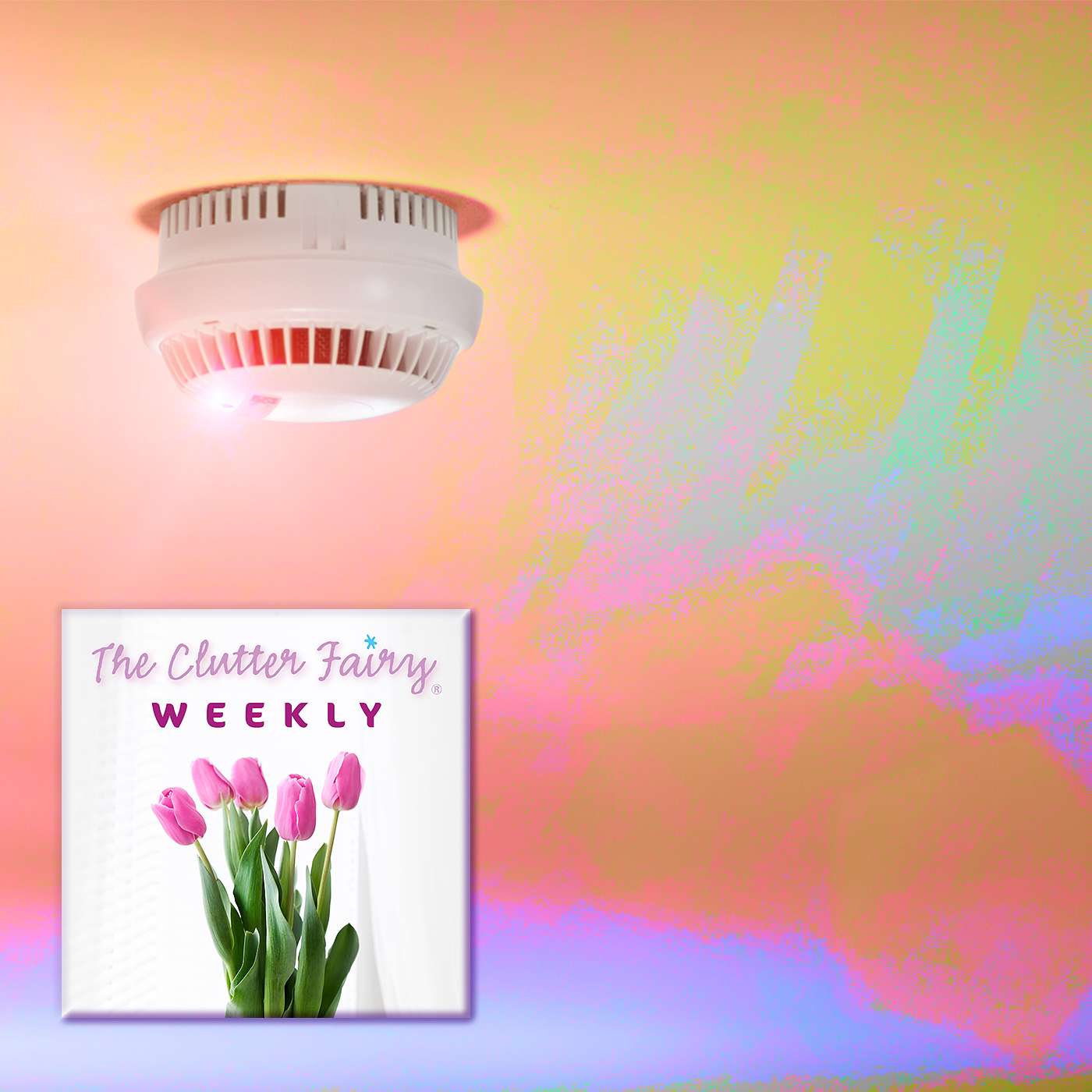 The Clutter Fairy Weekly #55 - Clutter to Catastrophe: More Organizing for Safety and Ease of Access