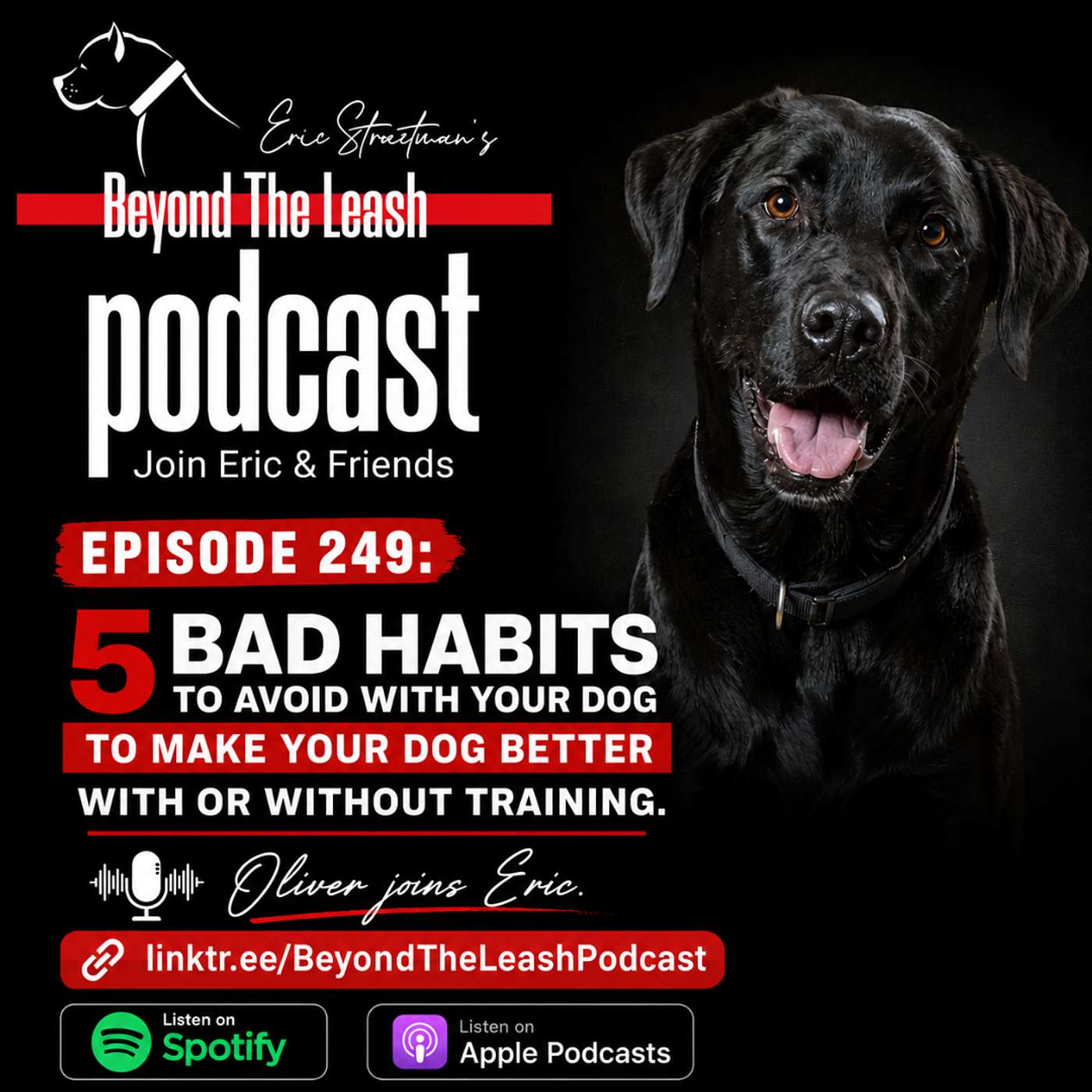 5 bad habits to avoid with your dog to make your dog better with or without training episode artwork