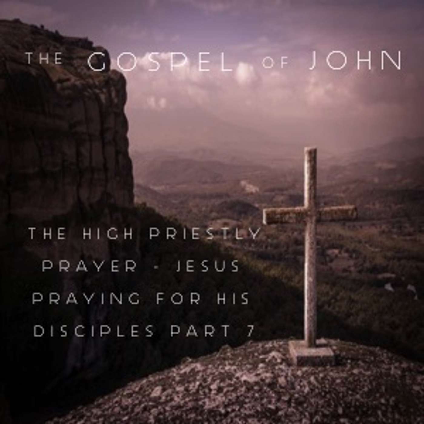 The Gospel Of John - The High Priestly Prayer Jesus Prays For His Disciples Part 7 episode artwork