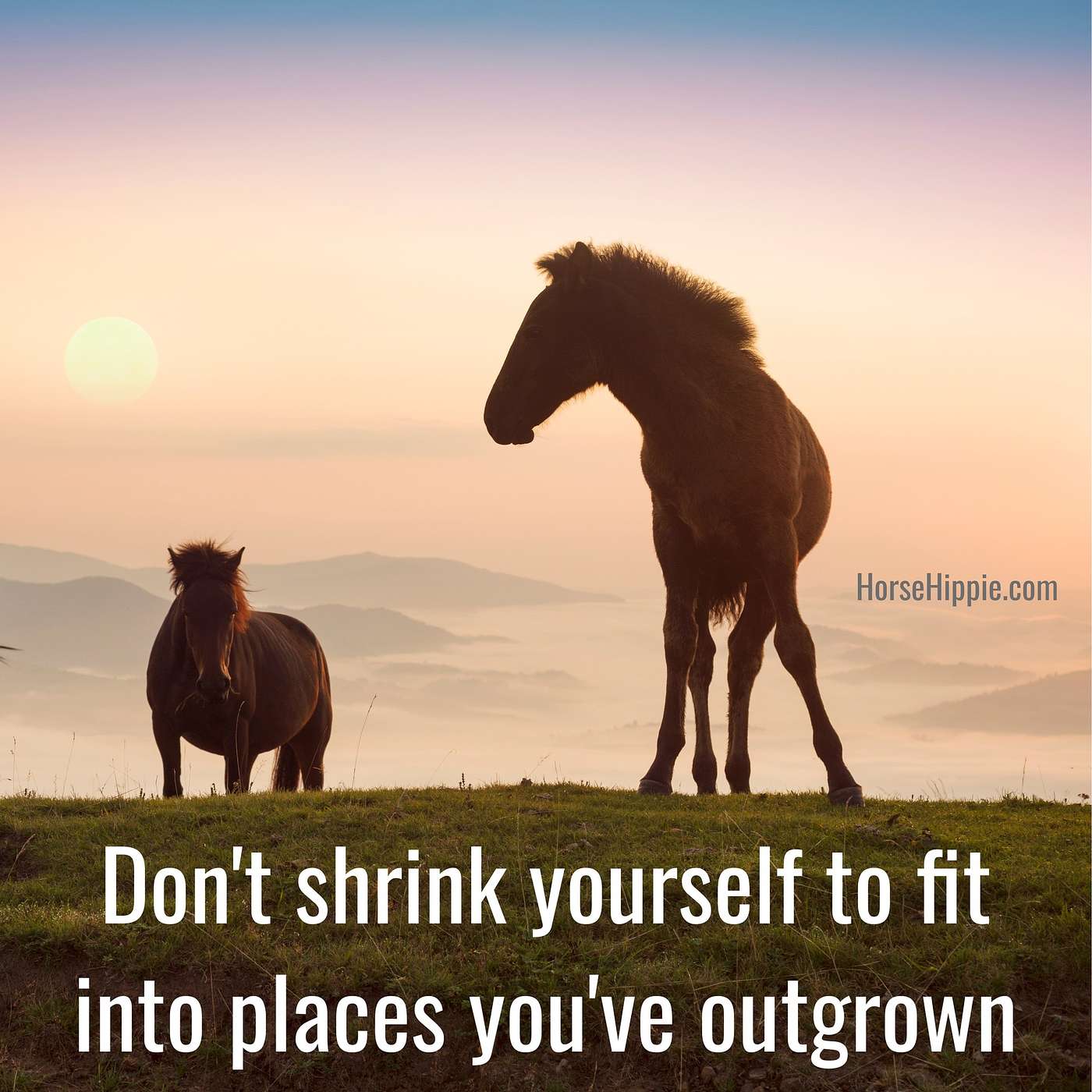 Don’t Shrink Yourself episode artwork