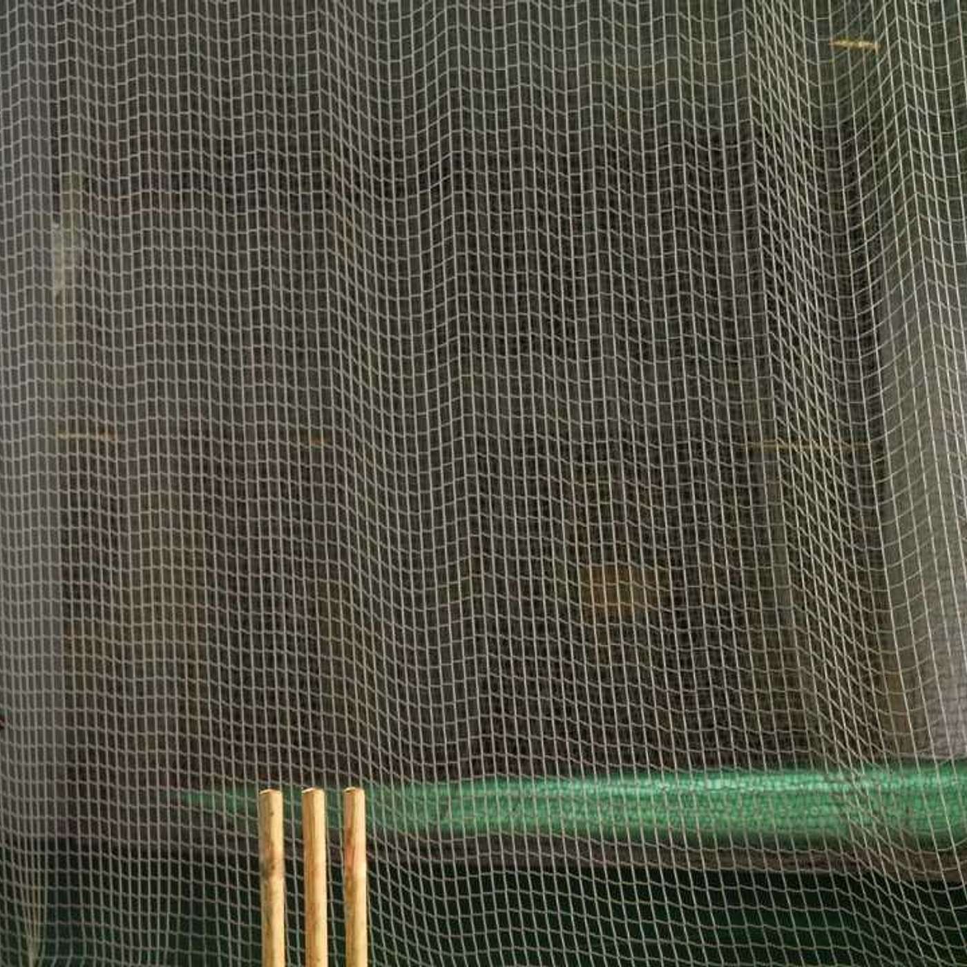 Dubai Sports City Cricket Nets: The Ultimate Training Hub for Aspiring Cricketers!