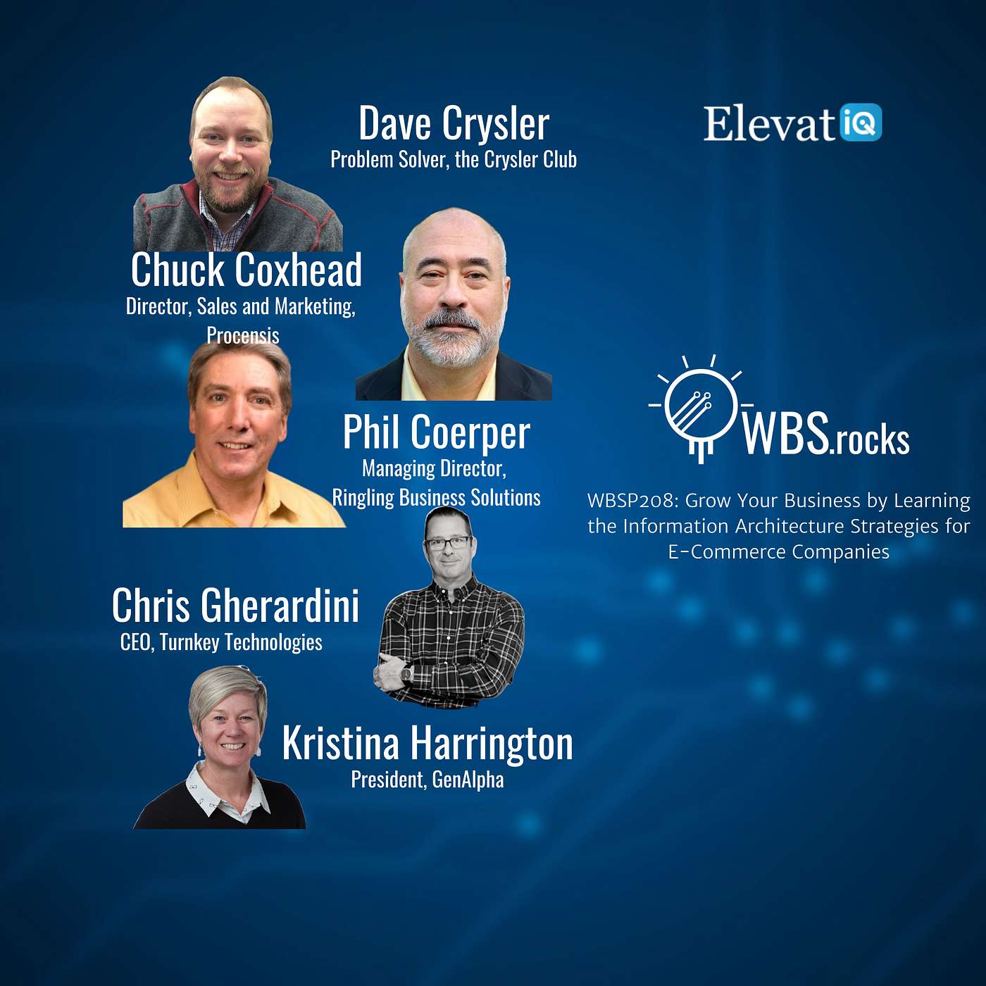 WBSP208: Grow Your Business by Learning the Information Architecture Strategies for E-Commerce Companies, a Live Interview w/ a Panel of Experts