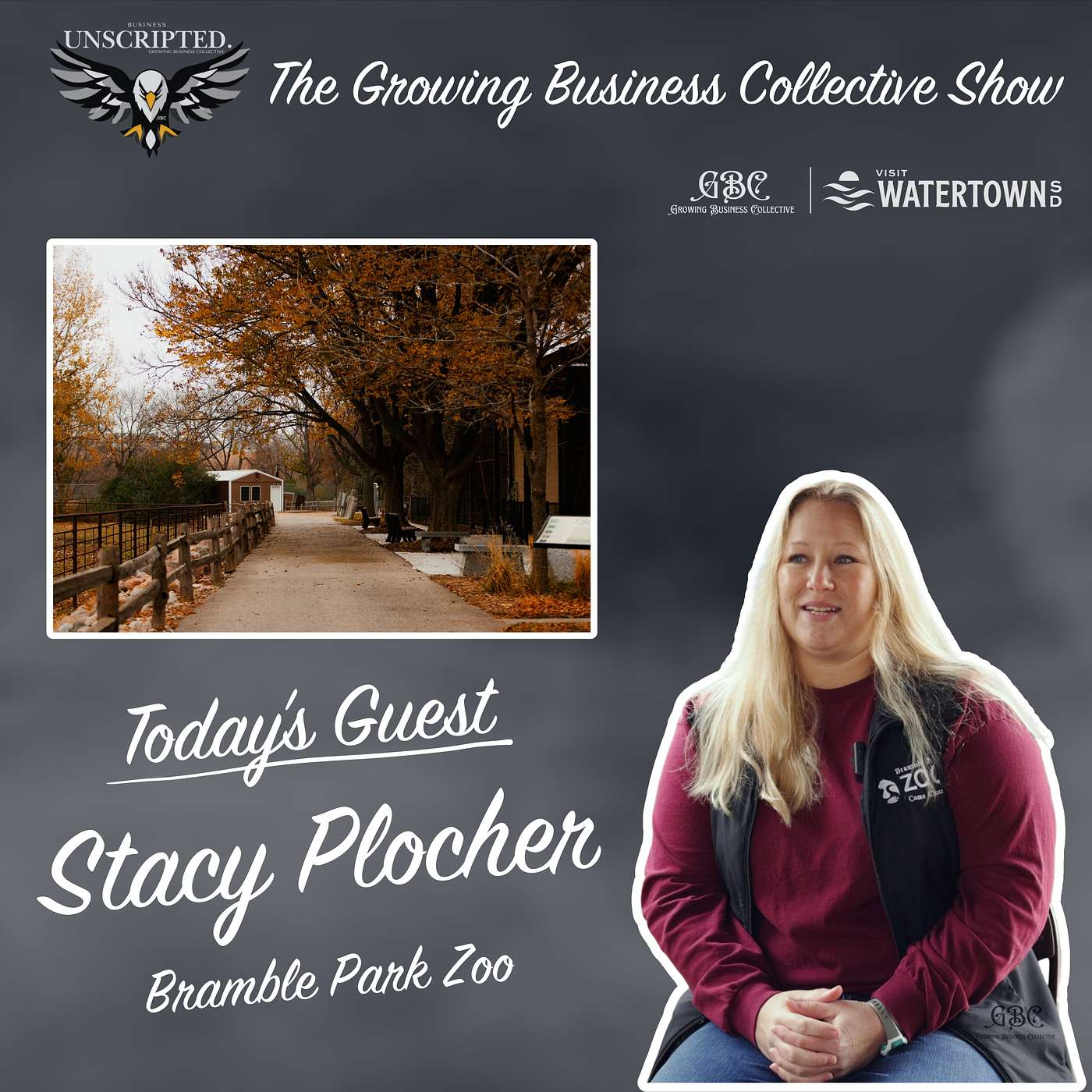 The Growing Business Collective Show