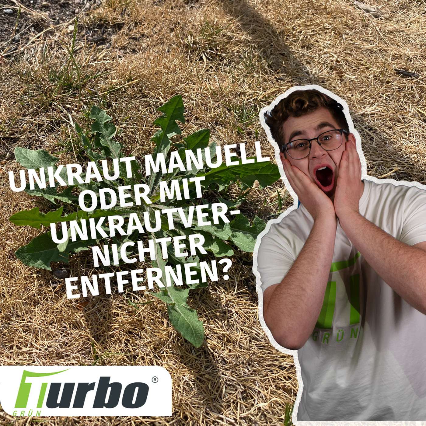 turbogrün | Rasentipps für unterwegs