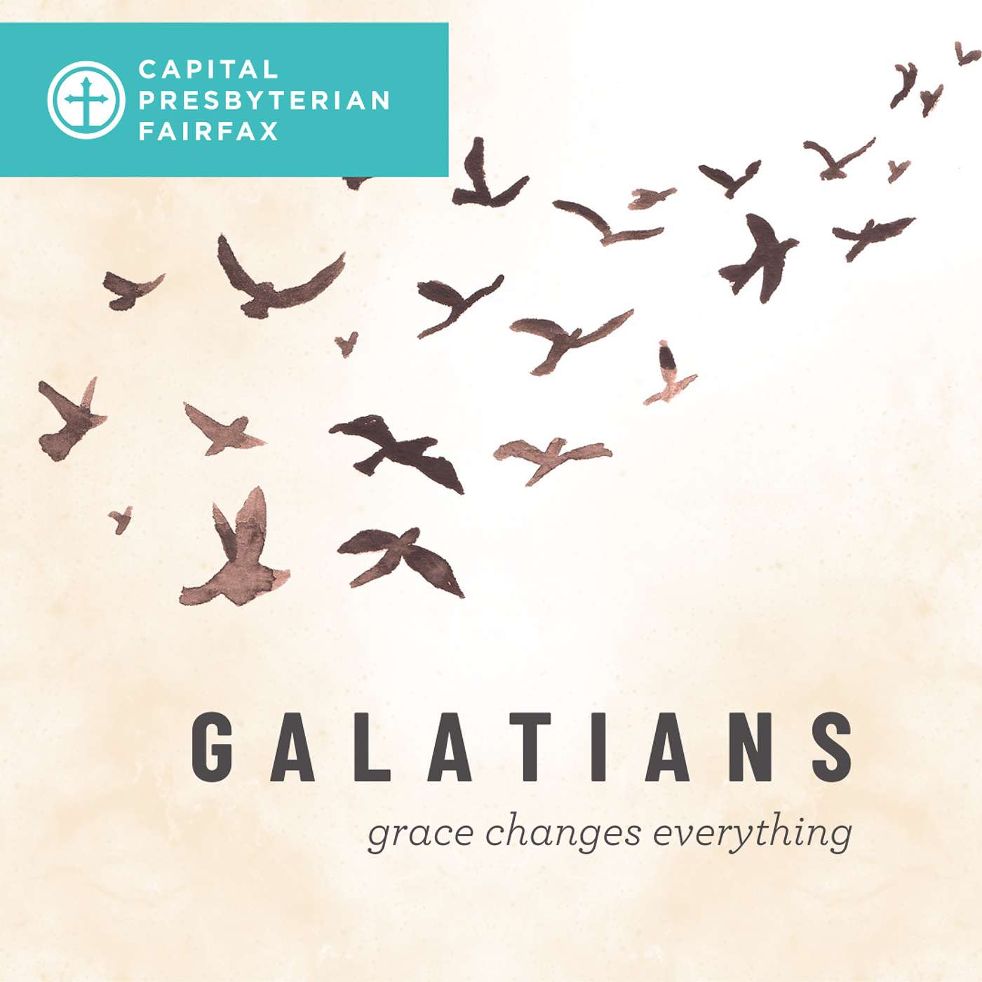 Sermons from Capital Presbyterian Fairfax