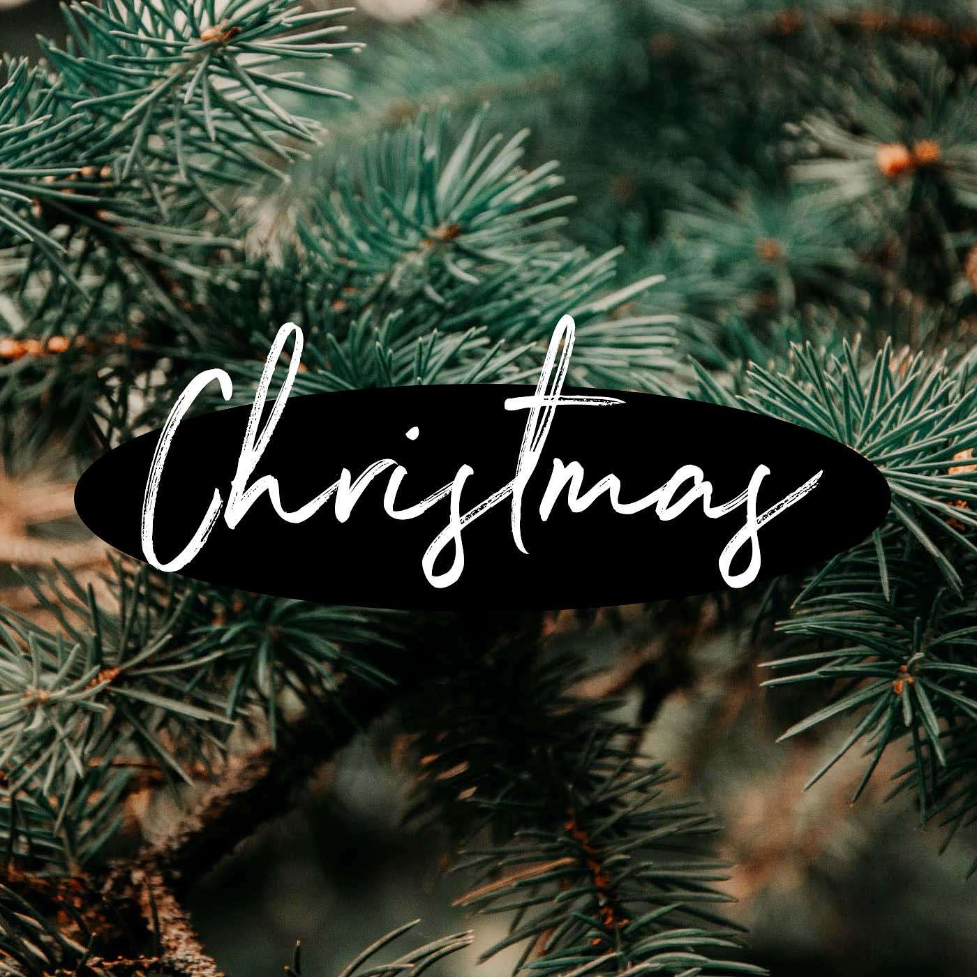Christmas Eve | Don't Miss Christmas - Christmas episode artwork