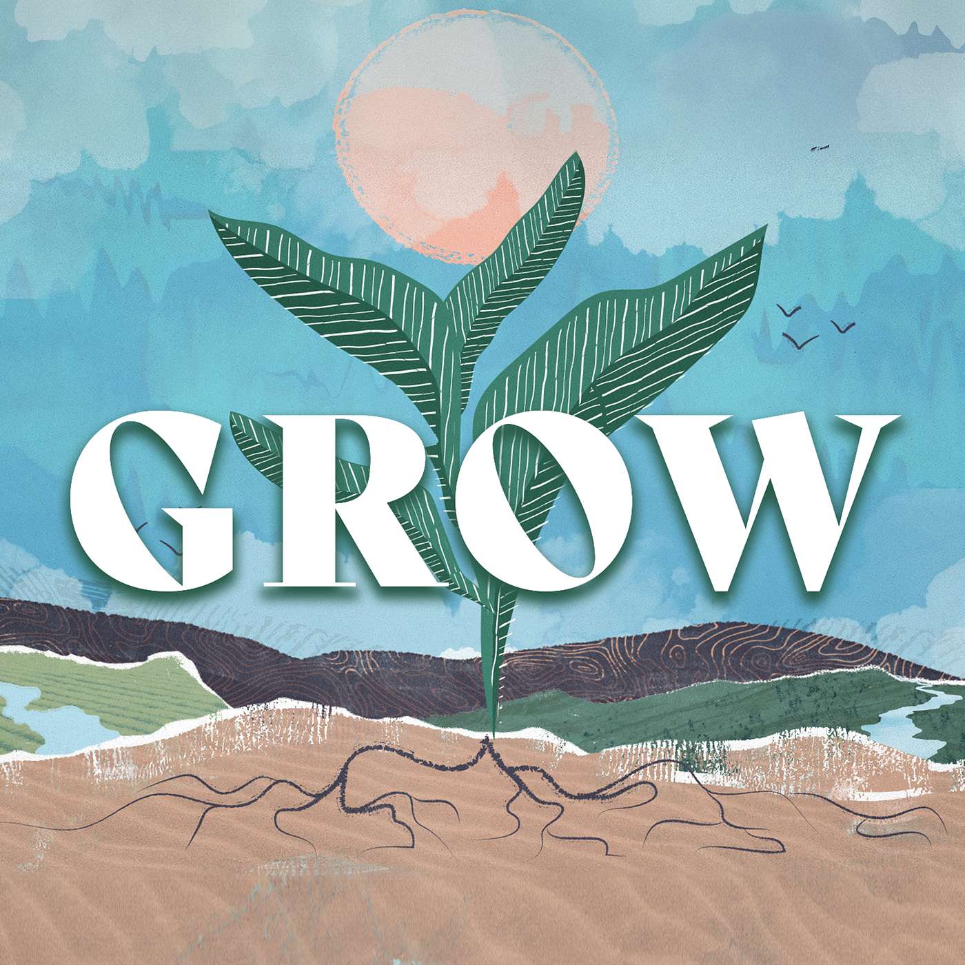 Grow: Week 3 | Grace Christian 1/28/24