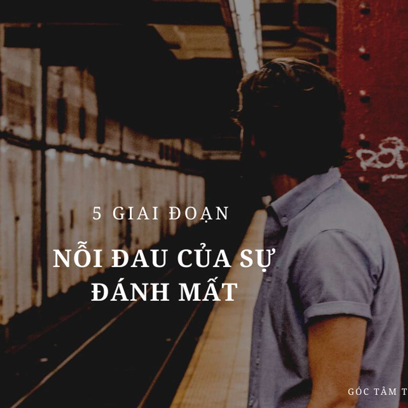 Nỗi Đau Của Sự Mất Mát hay Đánh Mất episode artwork