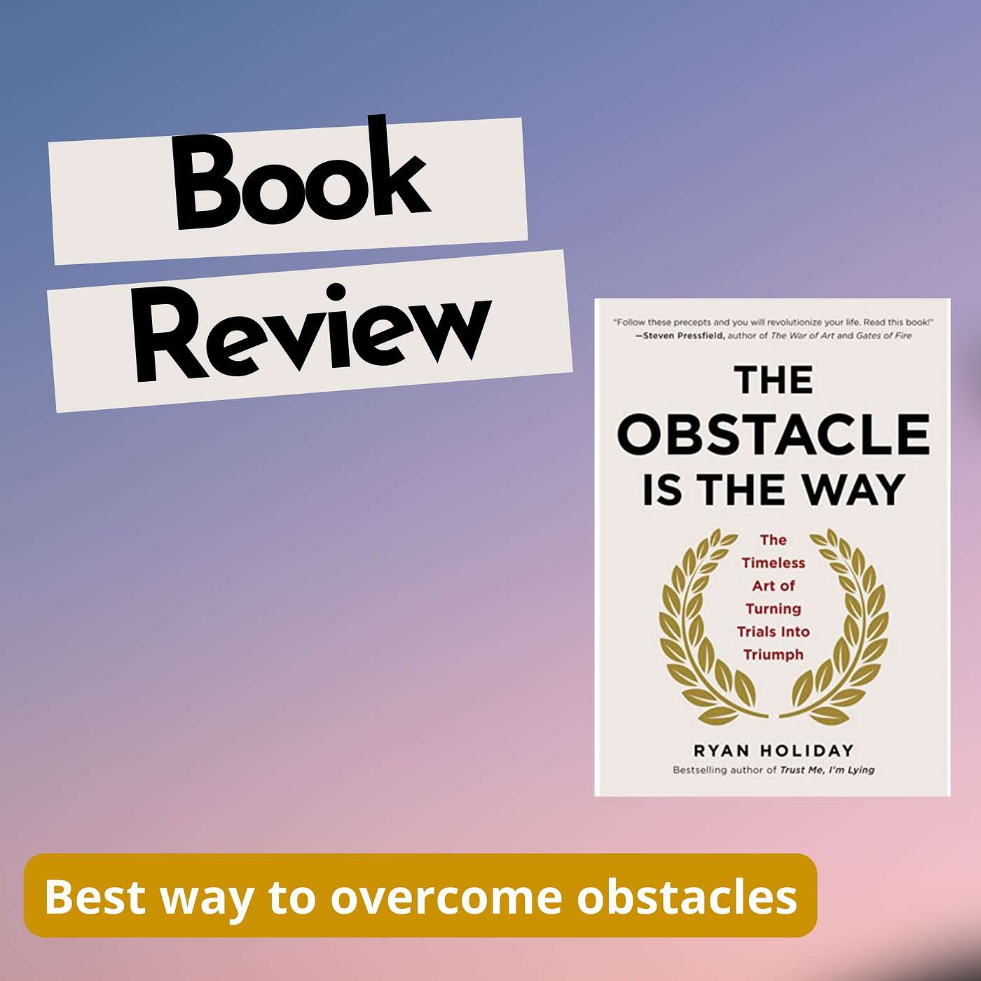 Change the Way You See Problems: Obstacle Is The Way Ryan Holiday - BOOK REVIEW