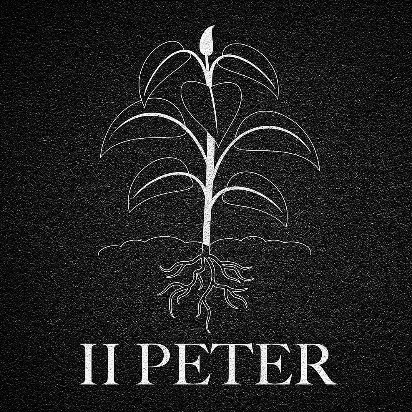 When the Right Side of History Is on the Wrong Side of God (2 Peter 2)