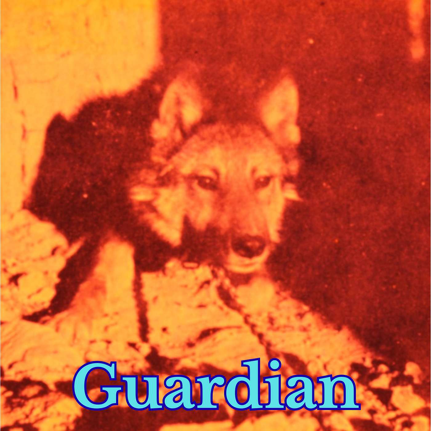 Guardian