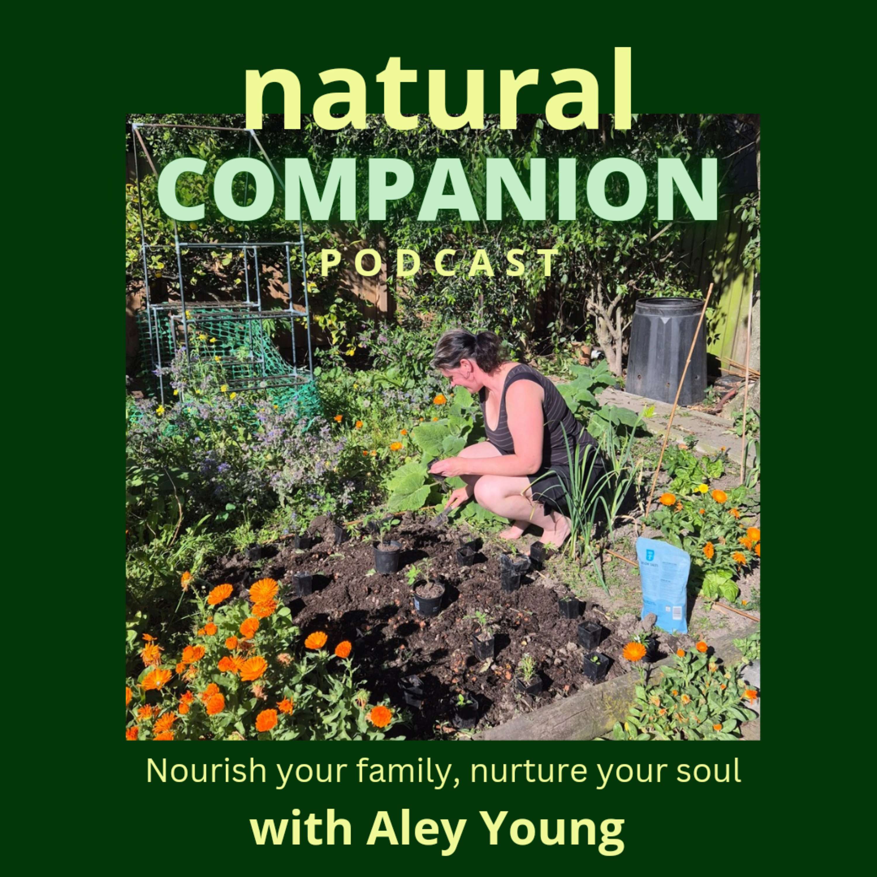 Natural Companion