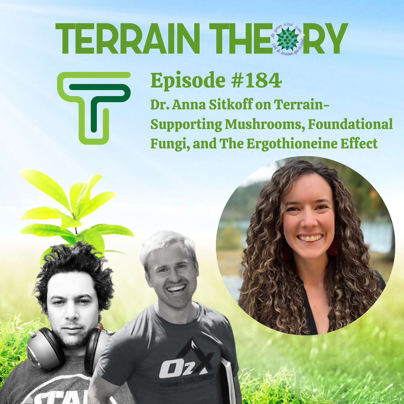Dr. Anna Sitkoff on Terrain-Supporting Mushrooms, Foundational Fungi, and The Ergothioneine Effect