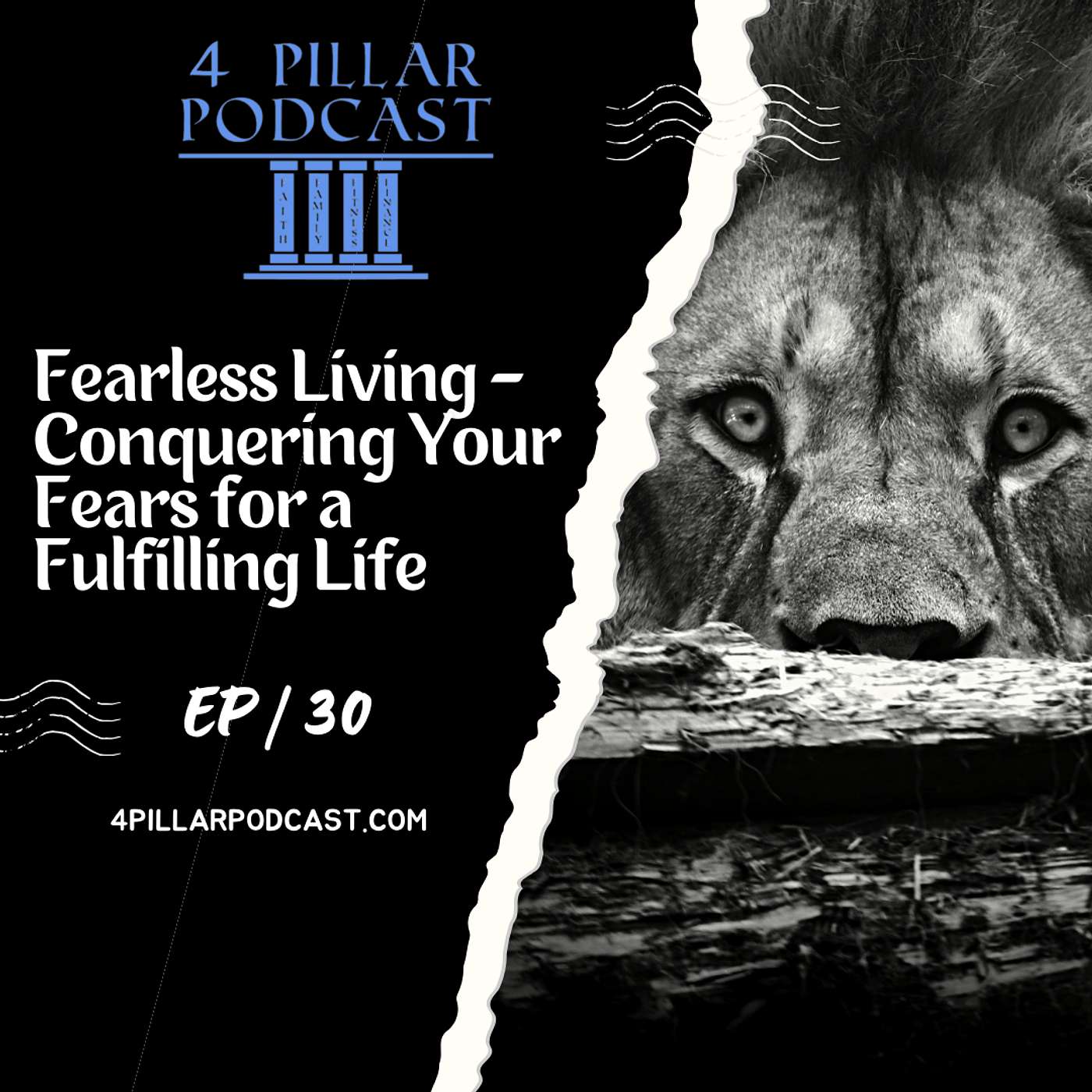 4 Pillar Podcast
