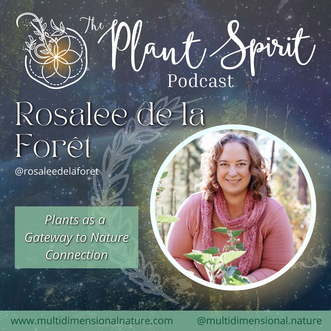 Plants as a Gateway to Nature Connection with Rosalee de la Forêt