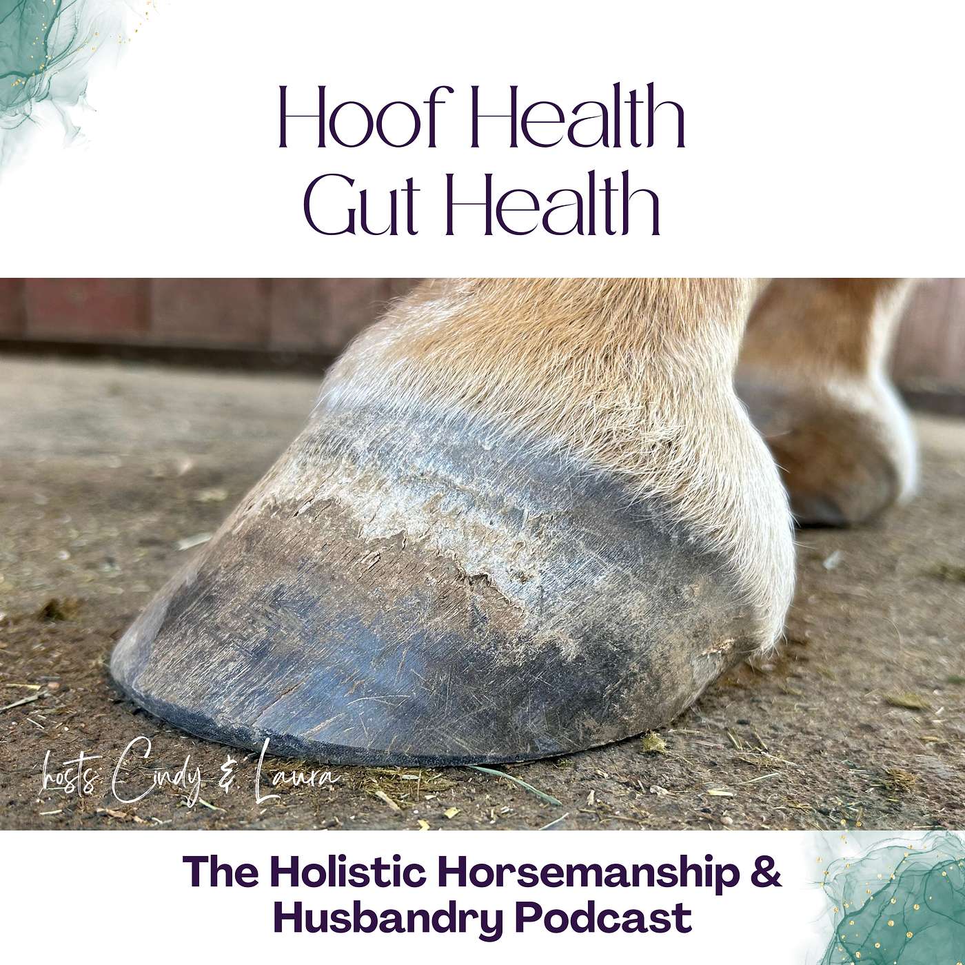 The Holistic Horsemanship and Husbandry Podcast