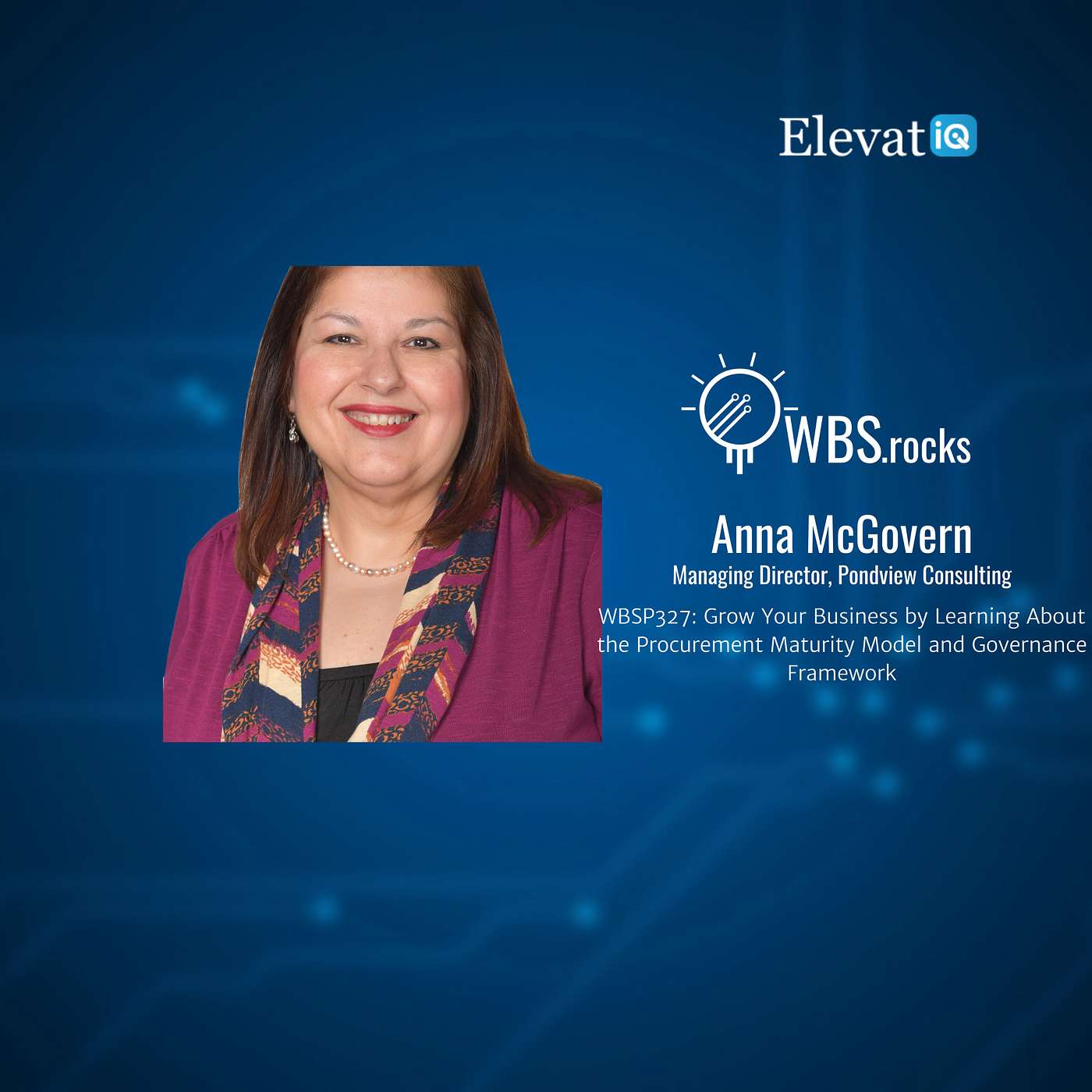 WBSP327: Grow Your Business by Learning About the Procurement Maturity Model and Governance Framework w/ Anna McGovern