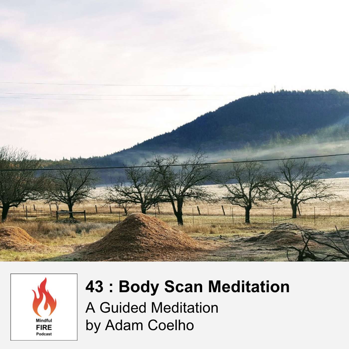 43 : Body Scan Meditation - podcast episode cover