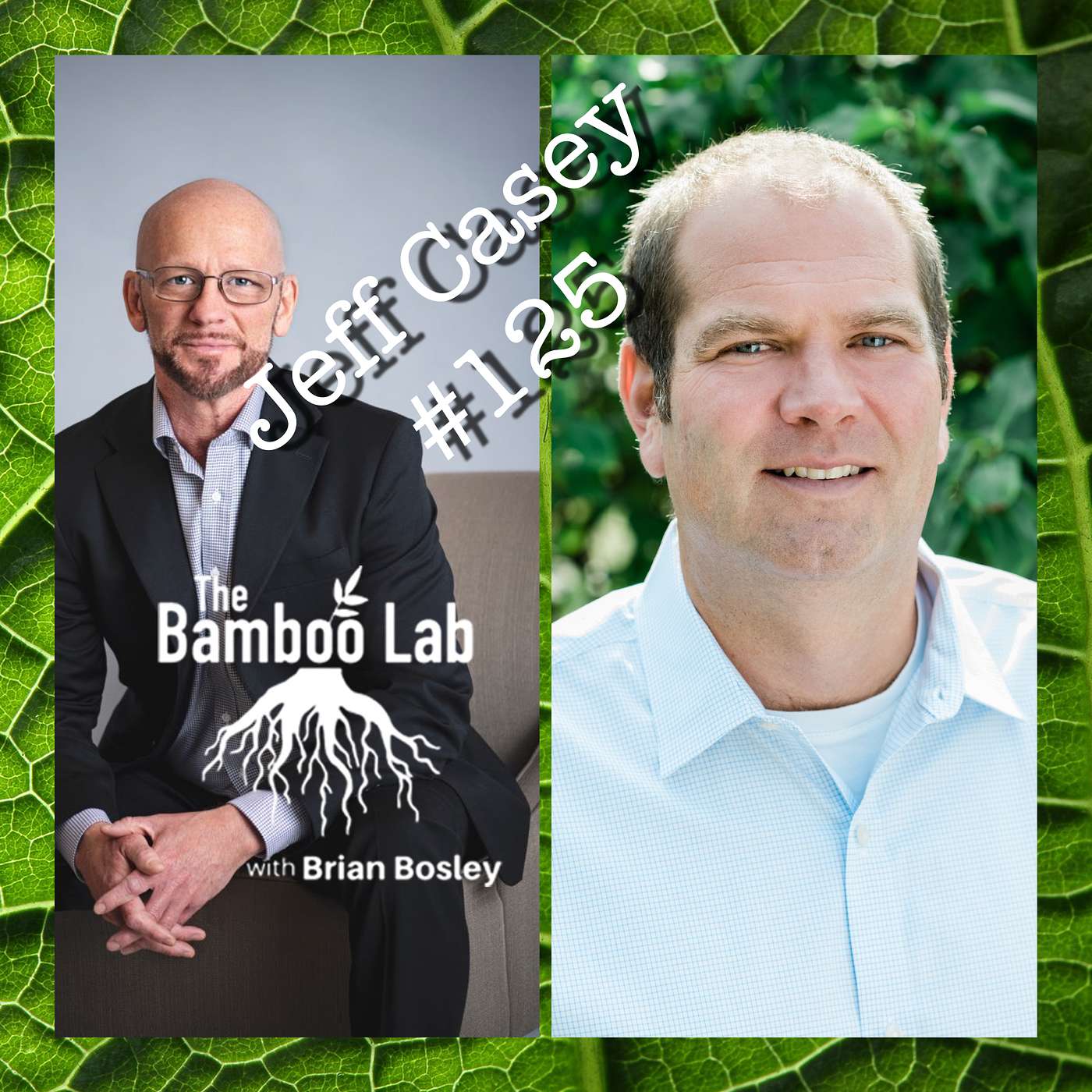 The Bamboo Lab Podcast
