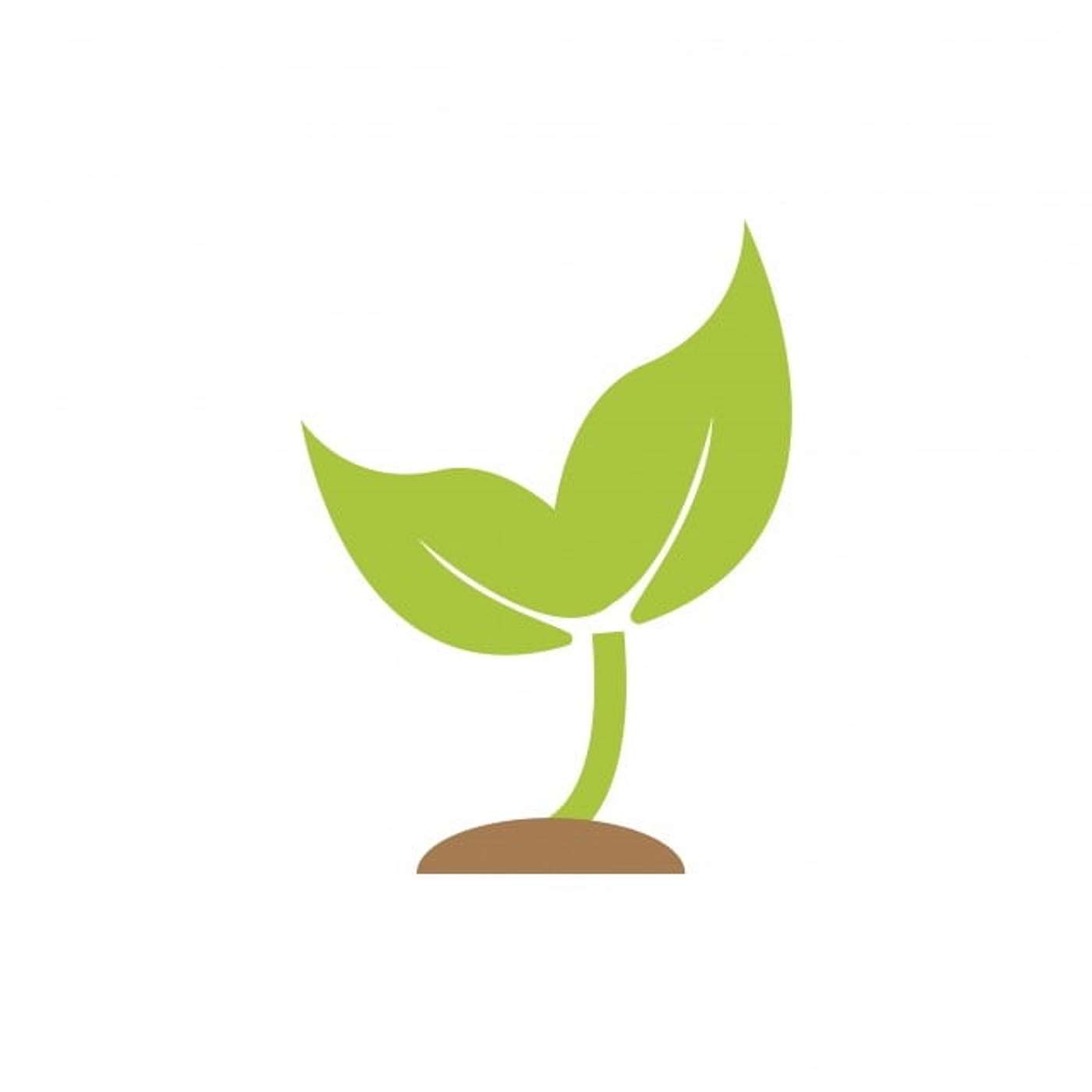 Eco Habitat