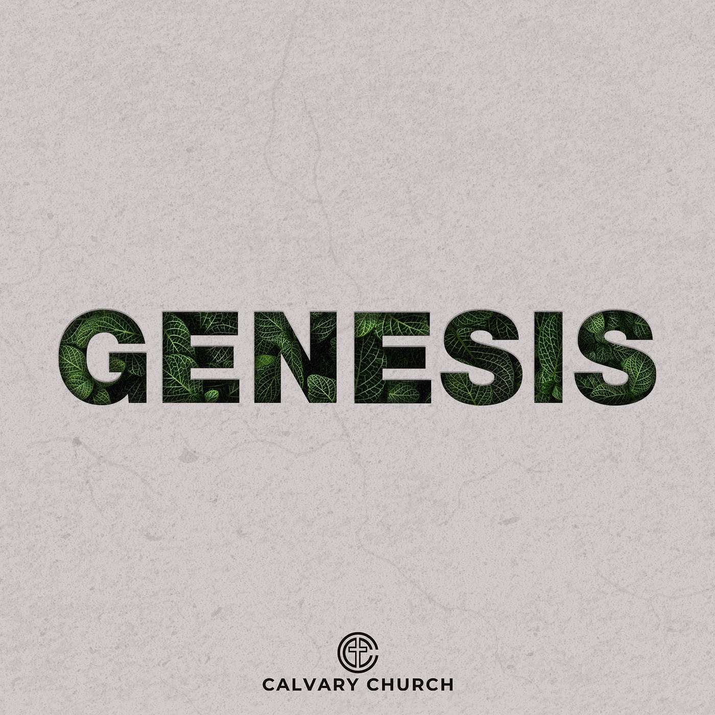 The Account of Creation