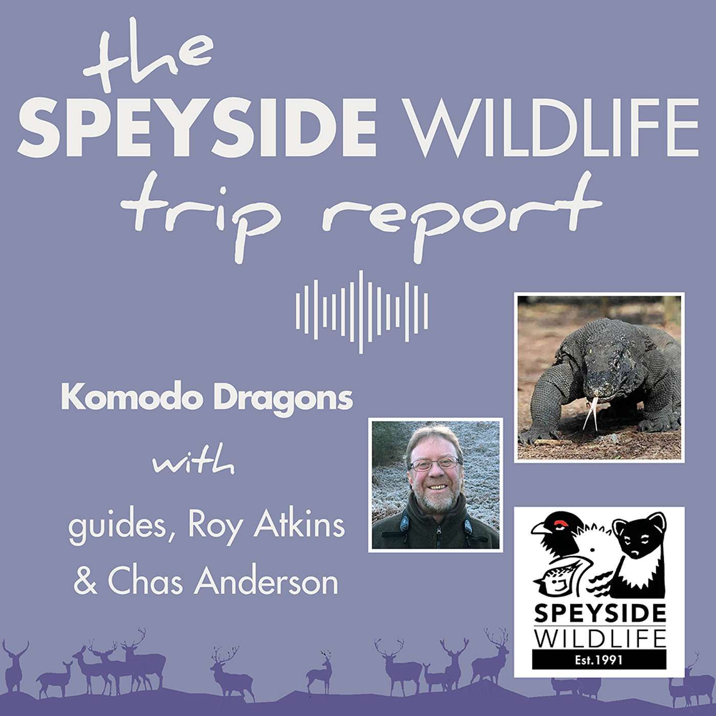 The Speyside Wildlife Trip Report