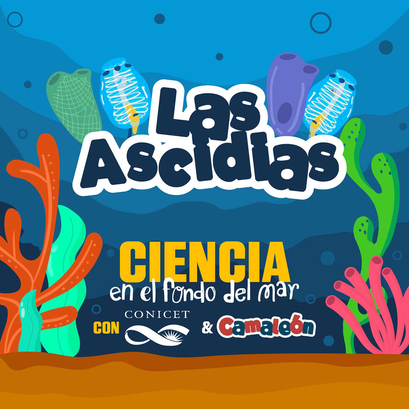 Ascidias: el filtro vivo del mar episode artwork