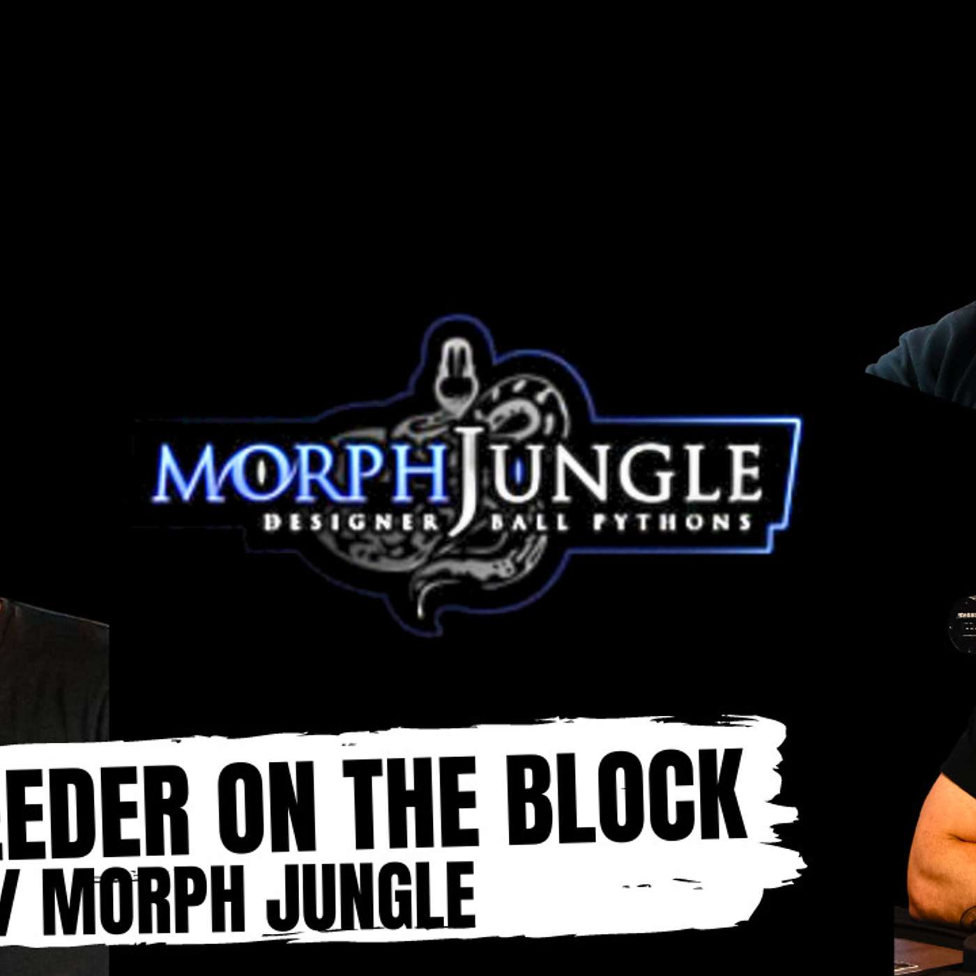 Justin addresses rumors on the Super GHI Ball Python morph | New Breeder On The Block