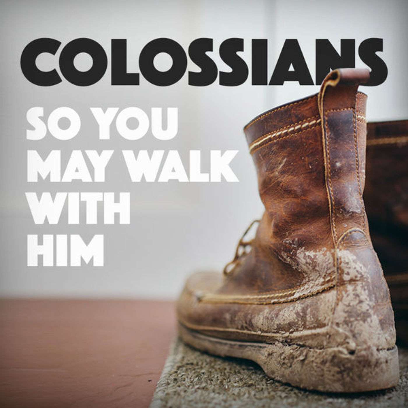 Colossians 3:12-17