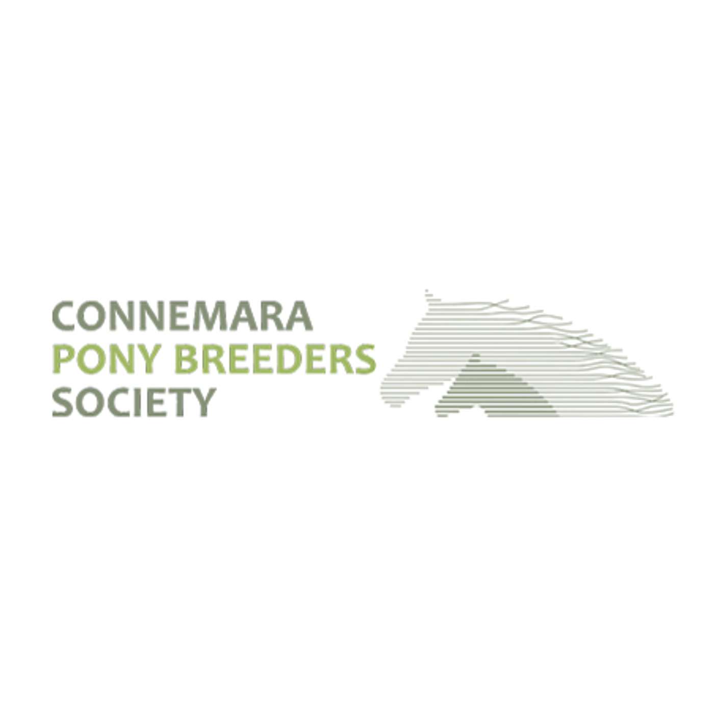 Quick-Fire Insights: Your Burning Questions Answered by the CPBS Council episode artwork