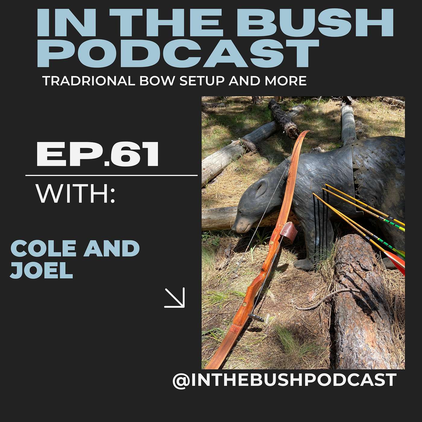 IN THE BUSH Podcast