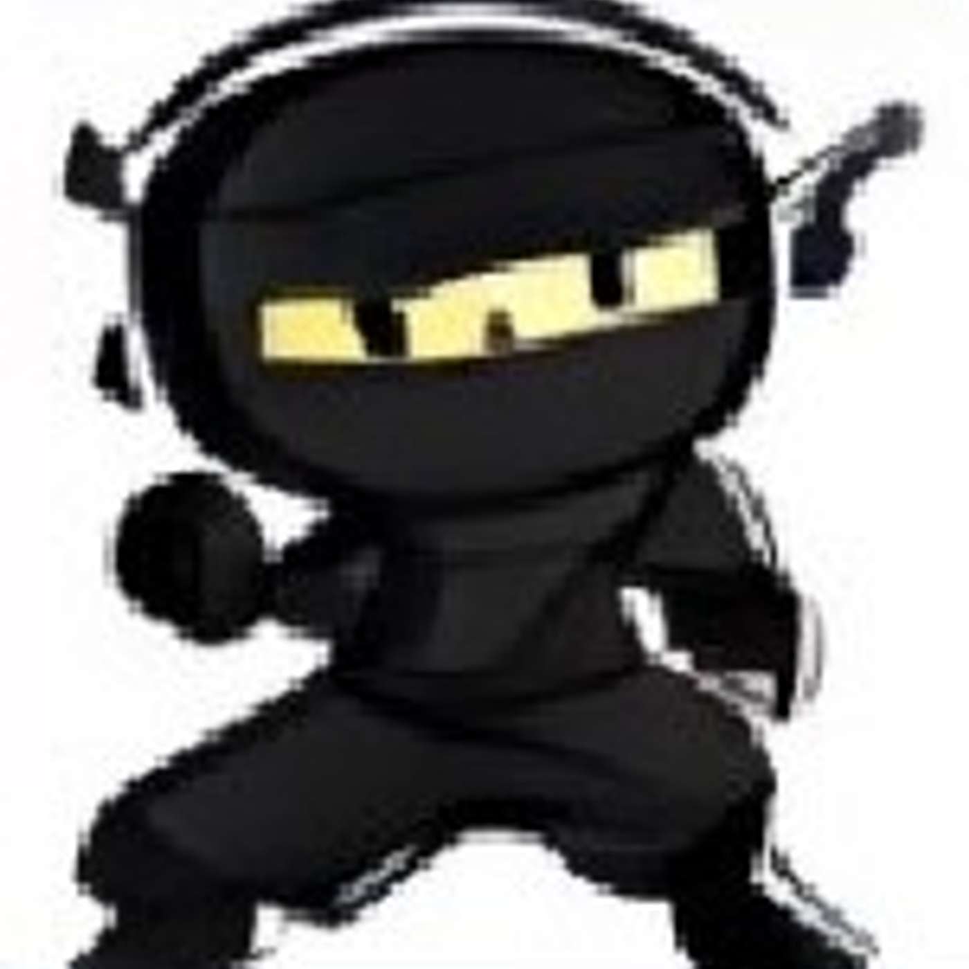 Digital Ninjas