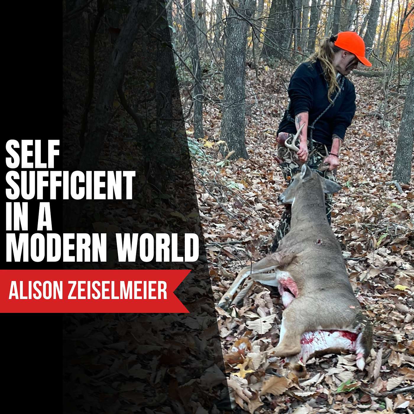 The Archery Project
