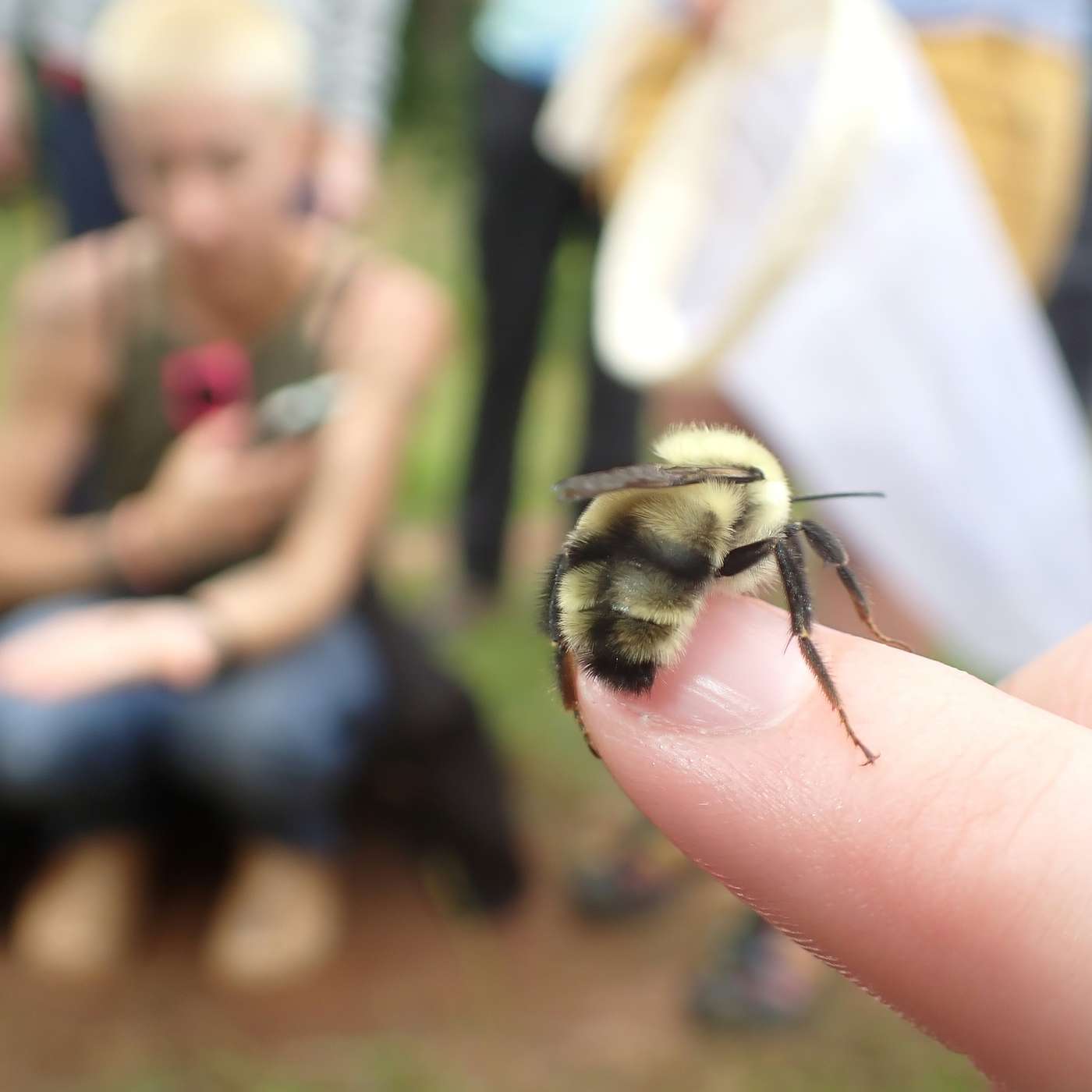 Bug Banter with the Xerces Society