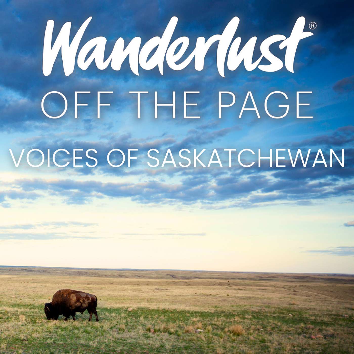 Voices of Saskatchewan: Farm to Table Dining, Northern Lights, and Baby Bison in 'The Land of Living Skies'