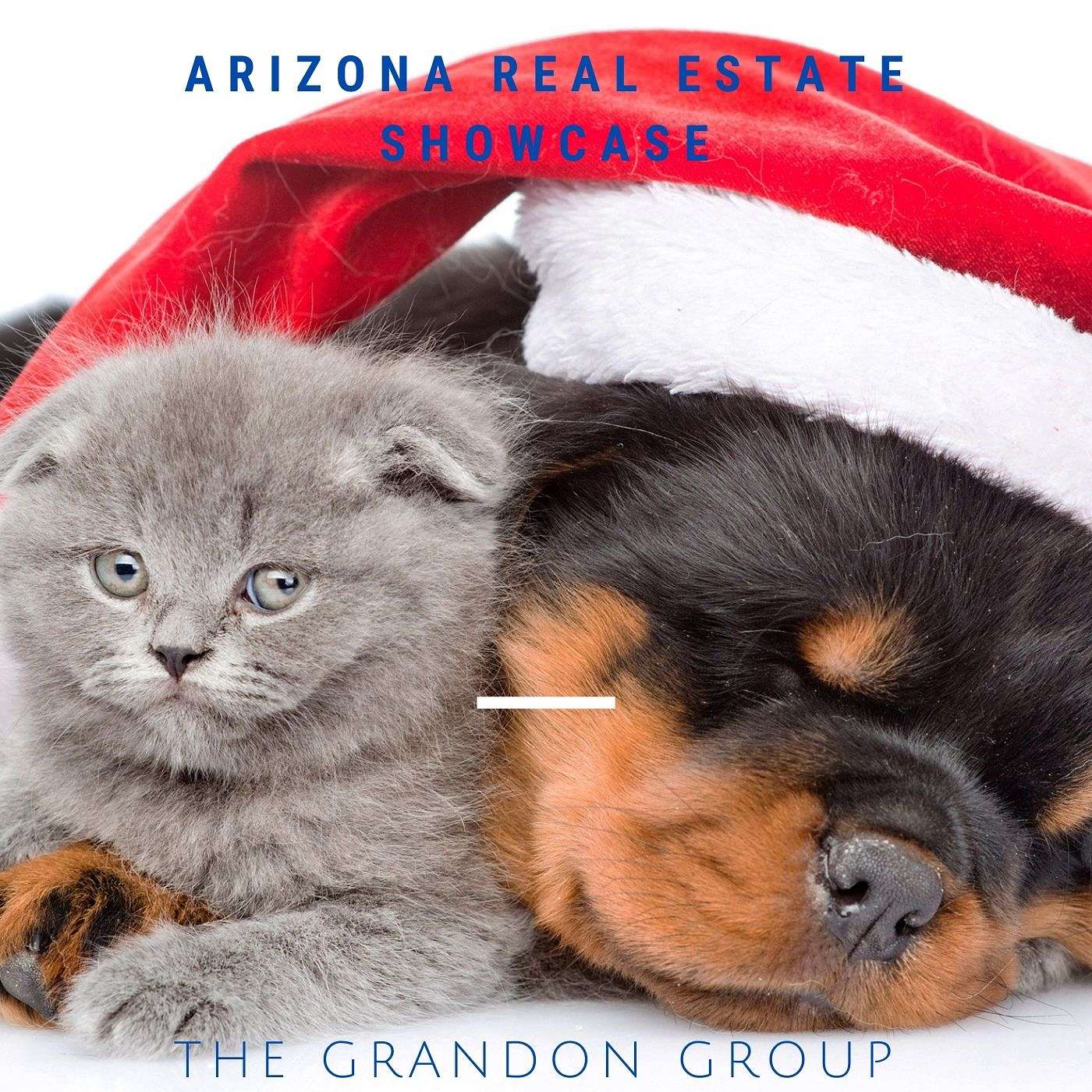 You got a puppy for Christmas! Now you need a home. episode artwork