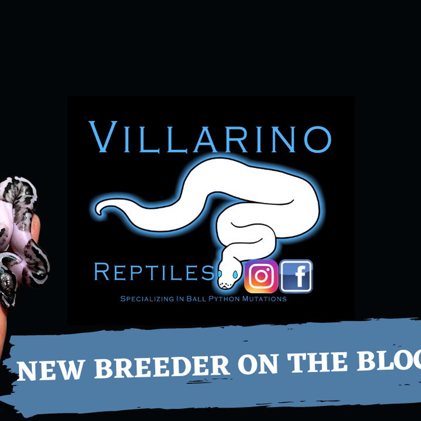 Emilio speaks on the future of selling animals at reptile shows | The Trap Talk Podcast