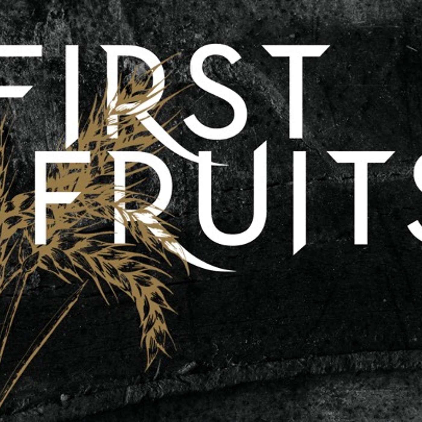 First Fruits | The Urgency of Following Jesus episode artwork
