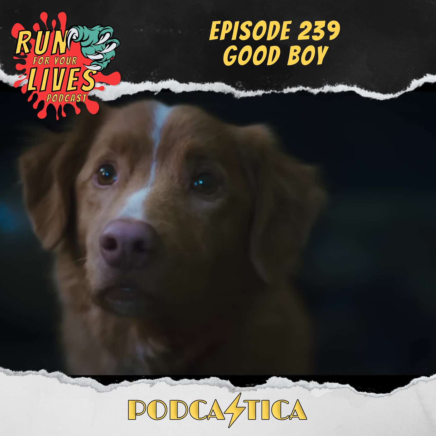 RFYL 239: Good Boy RFYL 239: Good Boy